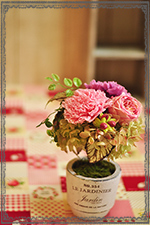 プリザーブドフラワーアレンジメント　シェリル