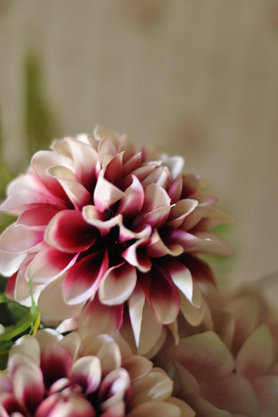 アートアレンジメント