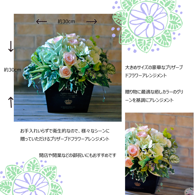 プリザーブドフラワー　大きい　グリーン