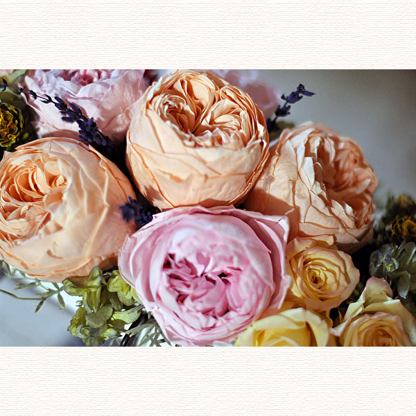 プリザーブドフラワー　大きい　かわいい