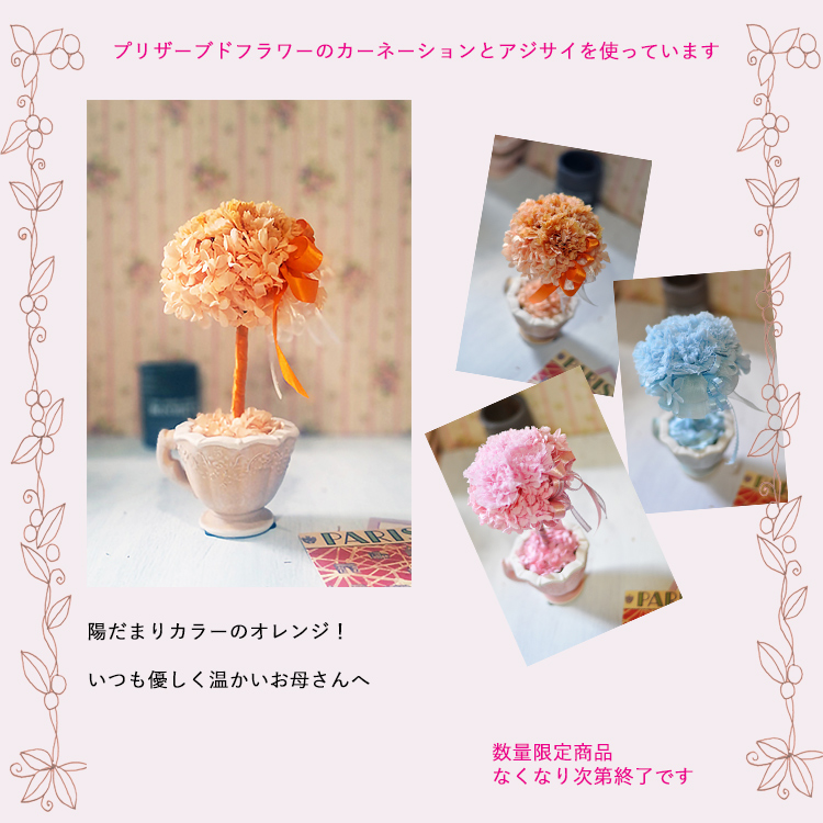 プリザーブドフラワー　母の日